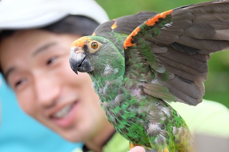 2016.07.25　Zoorasia　バードショー　お喋り担当