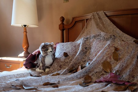 2016.10.26　ベーリック・ホール　寝室　サウィン祭　猫に感謝
