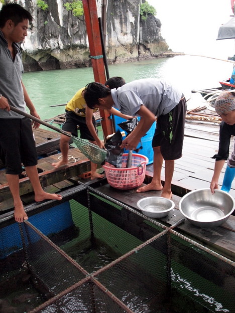 p1135197 写真: p1135197