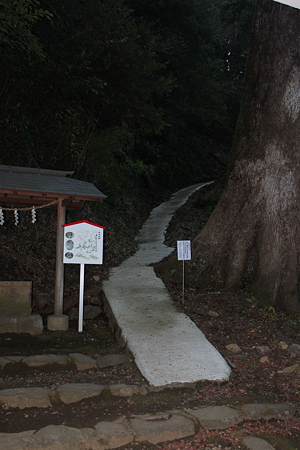 白山神社へ続く道