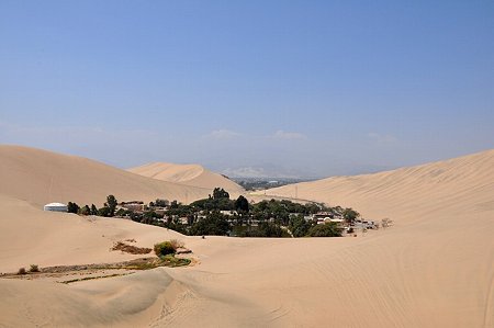 DSC_3000