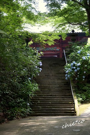 鎌倉-154