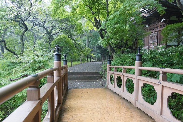 三渓園-143