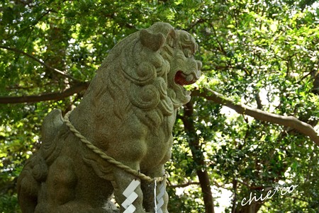 吾妻山公園-145