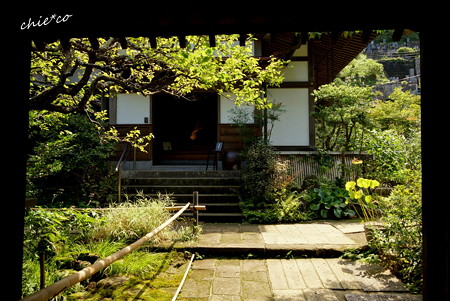 長月の円覚寺-257