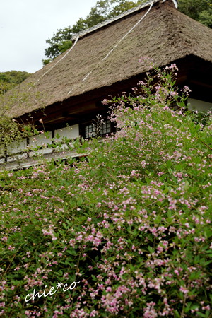 海蔵寺-119