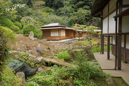 海蔵寺-123