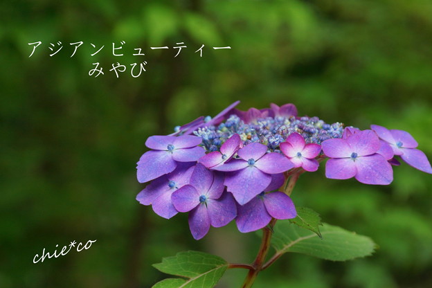DSC05244-001