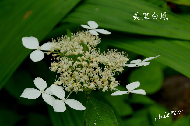 DSC05297-001