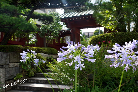DSC06624-001