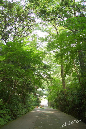 鎌倉-202