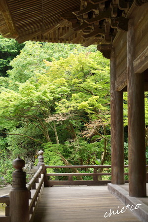 鎌倉-206
