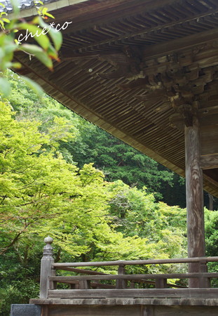 鎌倉-209