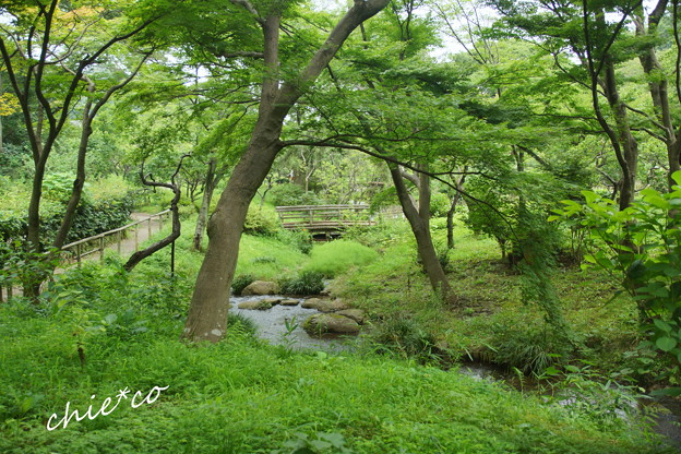 三渓園-258