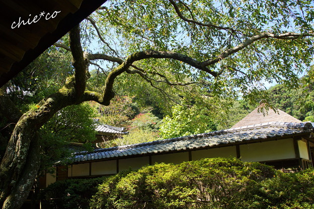 北鎌倉-380