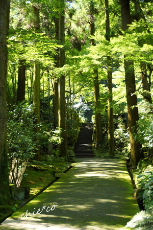東慶寺-300