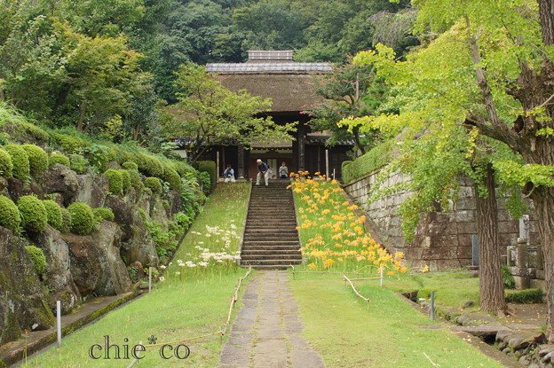 西方寺-142