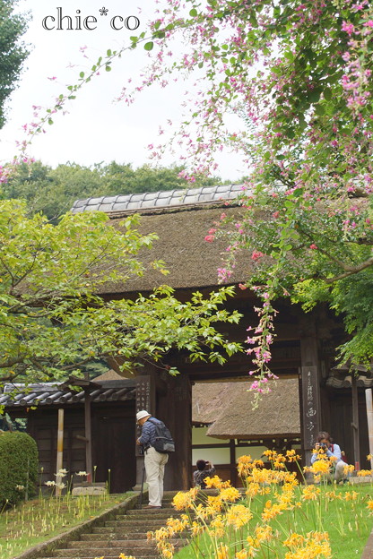 西方寺-143
