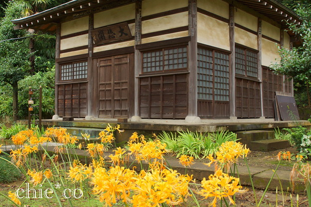 西方寺-156