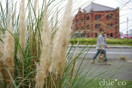 DSC08756-001