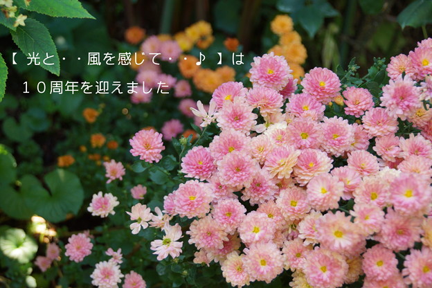 DSC09057-002