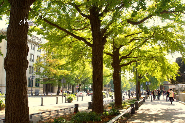 DSC09550-001