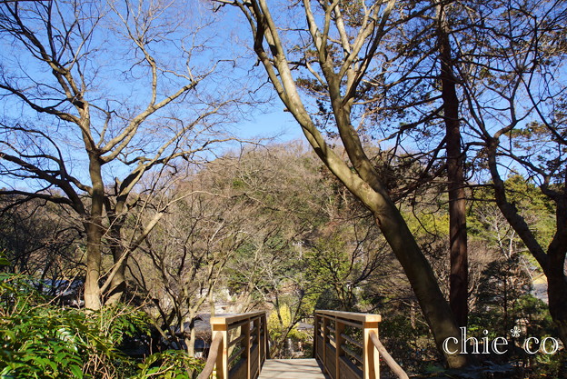初春の鎌倉-249