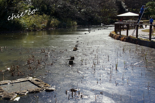 久良岐公園-124
