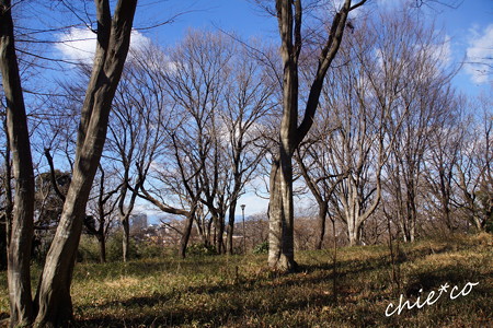 久良岐公園-134