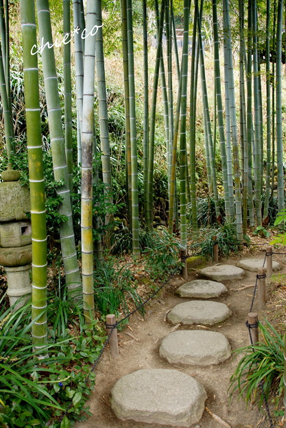 長谷寺-203