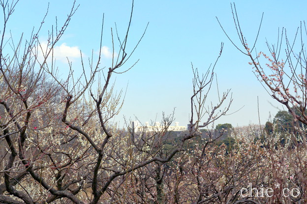 横浜根岸森林公園-168