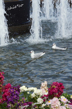 山下公園-198