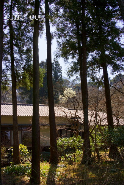 久良岐公園~6