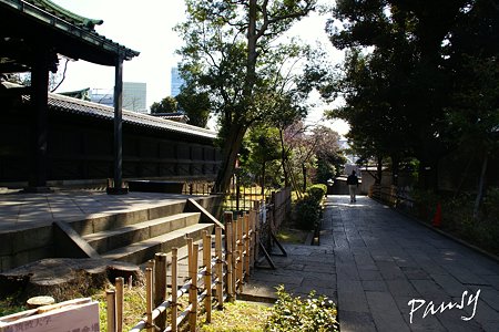 御茶ノ水・神田さんぽ~5