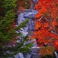 紅葉と滝