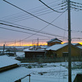 雪の朝