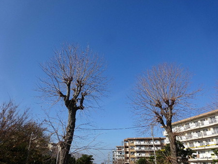 161218青空