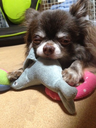 waku37