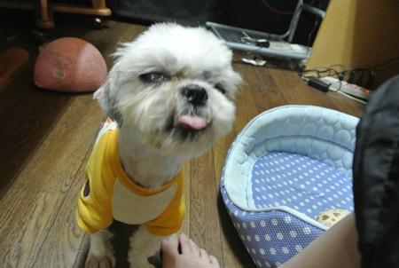くっさいからおばちゃんや♪