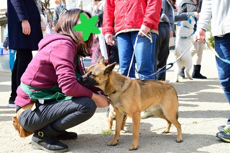 DSC_3743_00014_00011