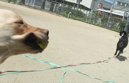 わお!!