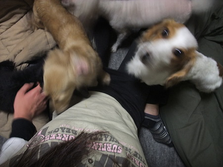 膝に群がるチビ軍団