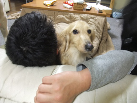 少しずつ動き出し