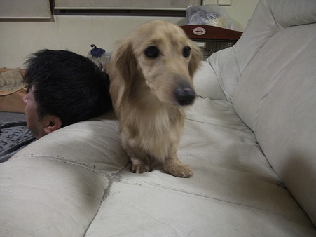 …(((((っ--)っ ソロリ…