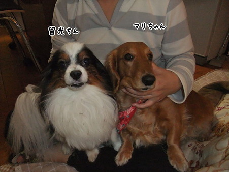 留光&マリ