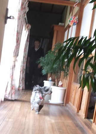 帰ってくる紬・・・いや、春馬(なんでやねん)