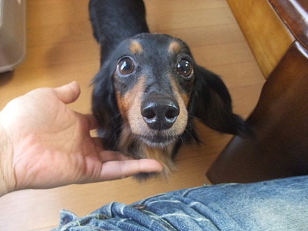 ルナ、ここだと楽しくやれそうやね
