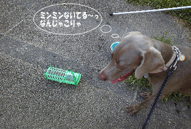 私、音が怖いねん・・・
