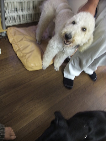 また次ぎ会うときまでごきげんよう~