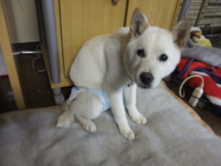 怖い・・・